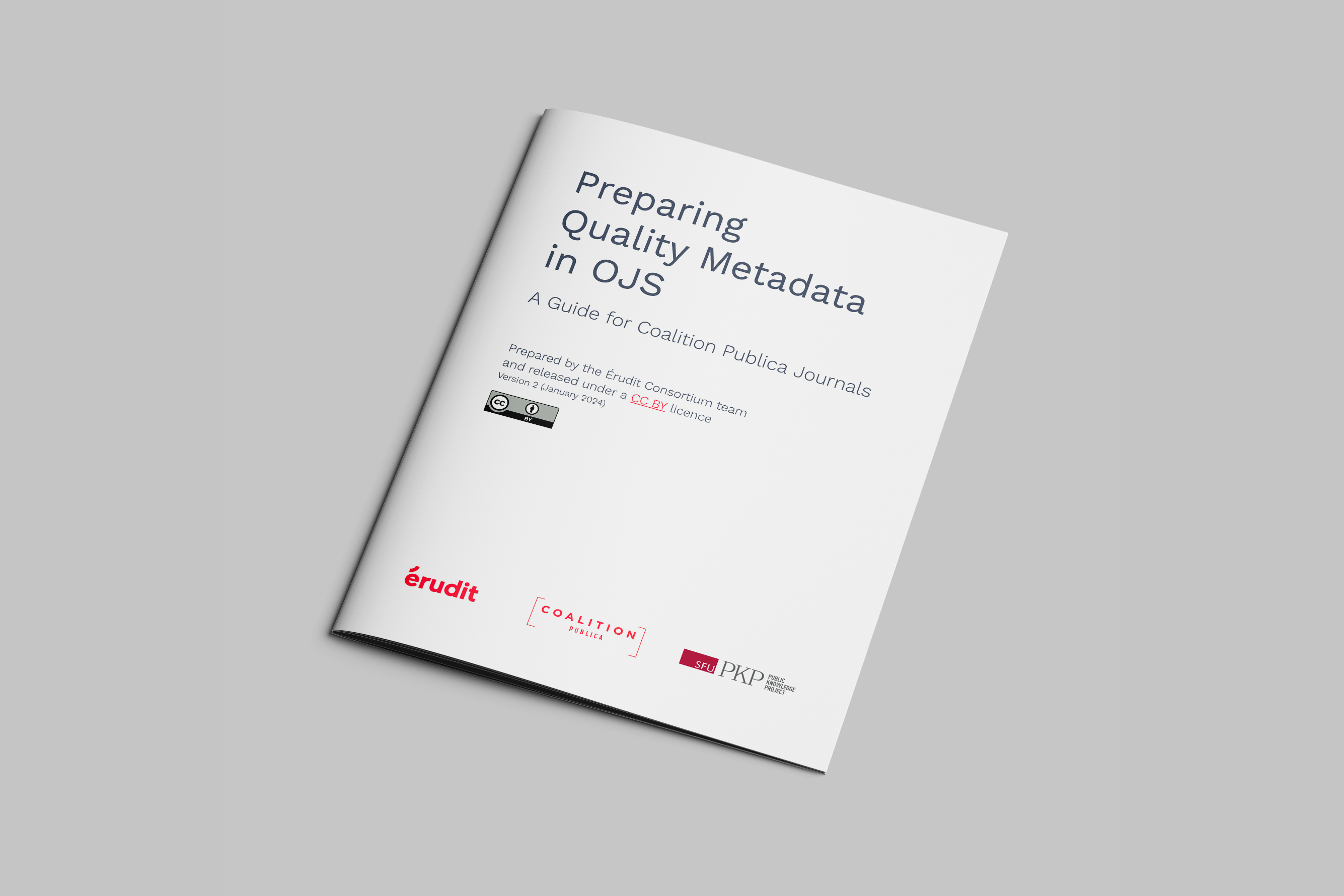 ojs-metadata-bandeau
