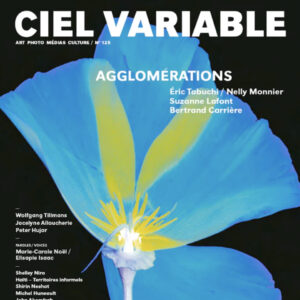 12_Ciel variable